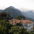 monserrate